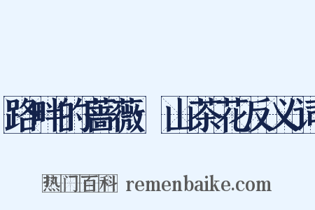 路畔的蔷薇·山茶花反义词是什么意思的图片